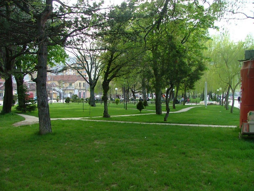 Lake View Pogradec Extérieur photo